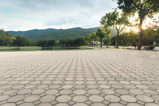 Best Custom Driveway Pavers  in Crystal River, FL