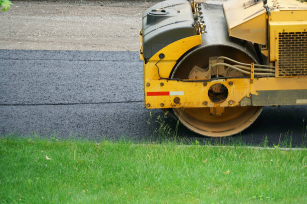 Best Custom Driveway Pavers  in Crystal River, FL